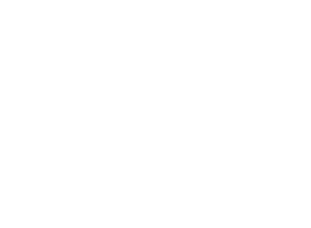 Sky015 Logo